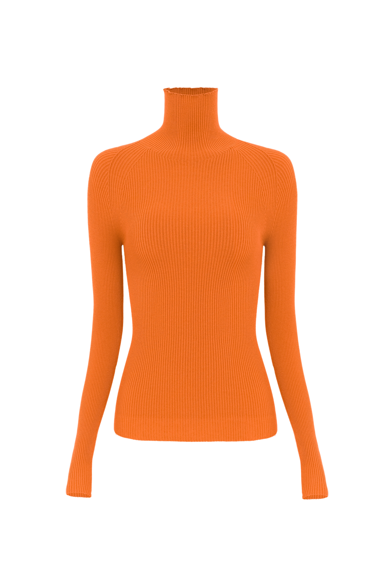 Трикотажная бесшовная водолазка из эластичной вискозы. Модель приталленого силуэта, с высоким воротником-стойкой и длинными рукавами. Изделие выполнено в рубчик.