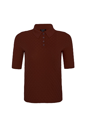 коричневый Трикотажная футболка-поло из вискозы. Модель приталенного силуэта, с короткими рукавами с манжетами, отложным воротником и застежкой на пуговицы на планке. 