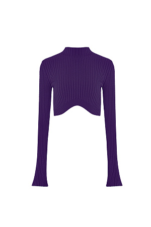 фиолетовый Трикотажный топ в рубчик с длинным рукавом и фигурным низом. Дополнить образ можно юбкой в таком же стиле. 
