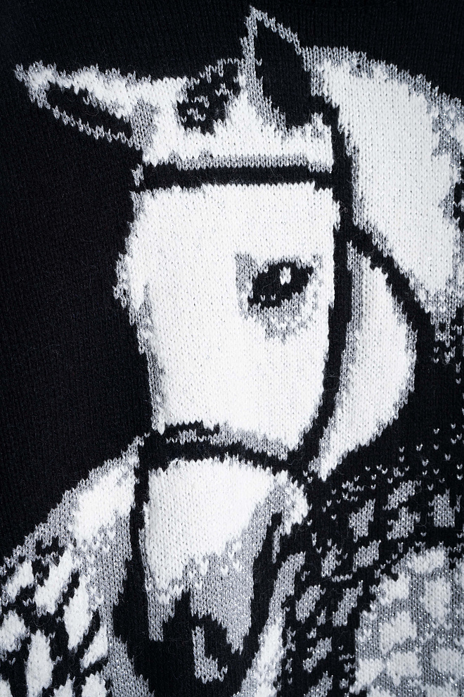 Джемпер с принтом лошади