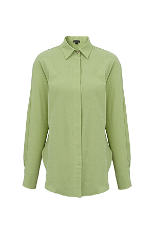 зеленый Классическая рубашка из 100% хлопка с потайной застежкой на пуговицы. Дополнить образ можно брюками.