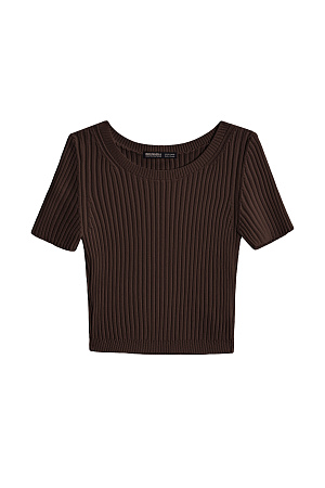 коричневый Короткий трикотажный топ из вискозы в рубчик. Модель приталенного силуэта с короткими рукавами и круглым вырезом горловины. Дополнить образ можно юбкой плиссе.
