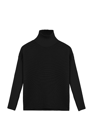 черный Трикотажный джемпер из вискозы в мелкий валик. Модель с длинным рукавом и воротником-стойкой.